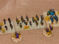 new biblicals (3 of 7)